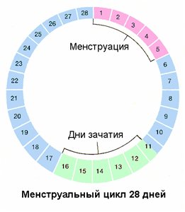 Месячные проценты по займам