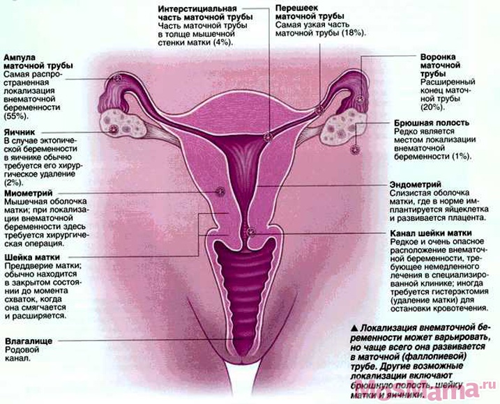 Очко Альбины расширяется от каждого проникновения