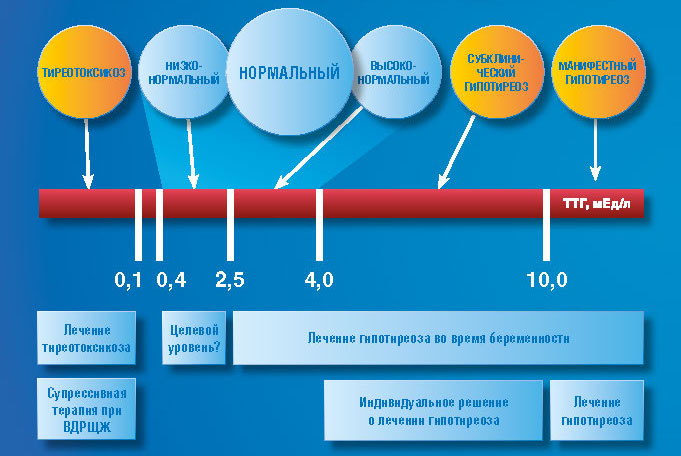 Уровень ттг при беременности