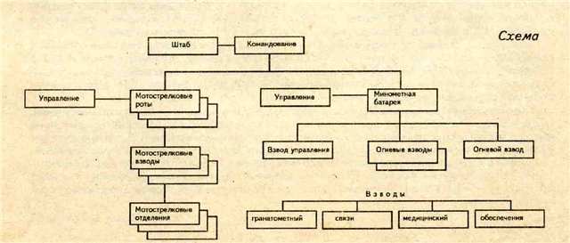 Изобразите в виде иерархической структуры схему мотострелковой роты описание которой предложил