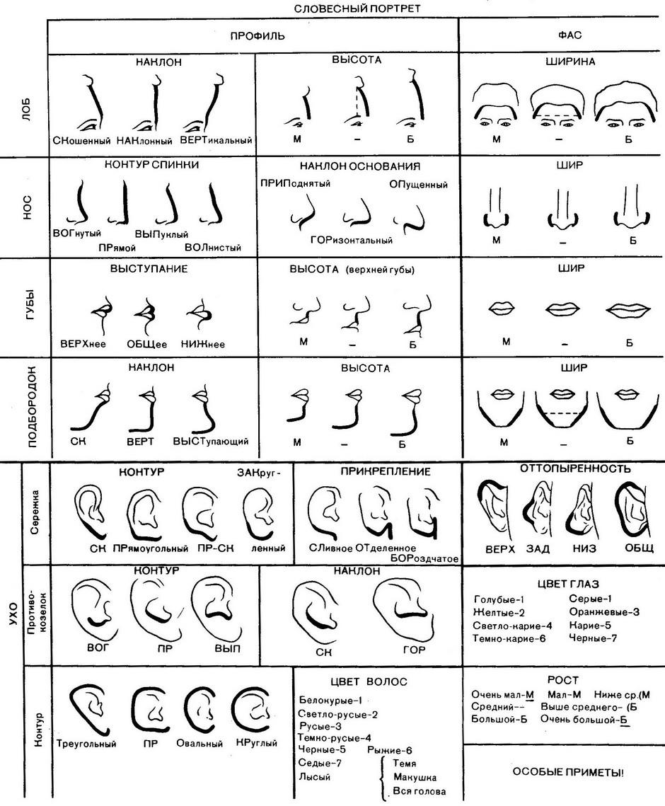 Правила словесного портрета. Методика составления словесного портрета криминалистика. Словесный портрет человека криминалистика. Схема описания внешности человека по методу словесного портрета. Описание лица человека криминалистика.