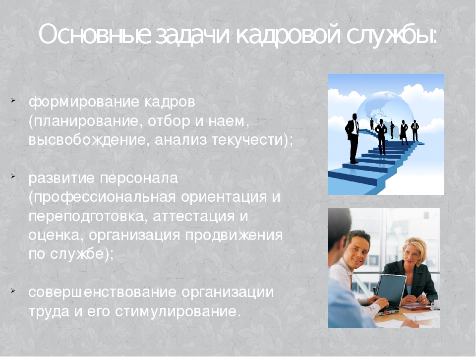 Кадровая функция. Функции и задачи кадровой службы. Задачи кадровой службы. Роль кадровой службы. Организация работы кадровой службы в организации.