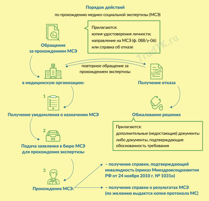 Порядок проведения мсэ презентация