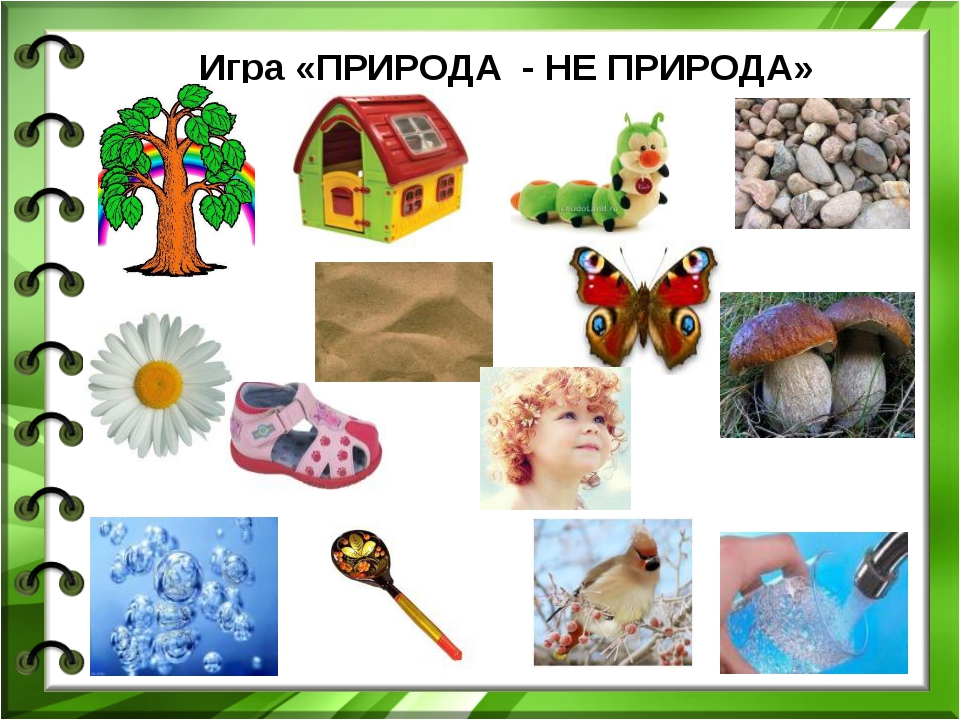 Тема неживая природа младшая группа. Живая неживая природа рукотворный мир. Природные и рукотворные предметы. Живые и неживые предметы для дошкольников. Рукотворный и природный мир.