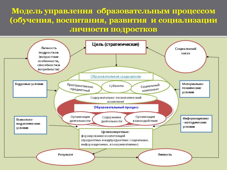 Проект педагогической деятельности всех участников образовательного процесса