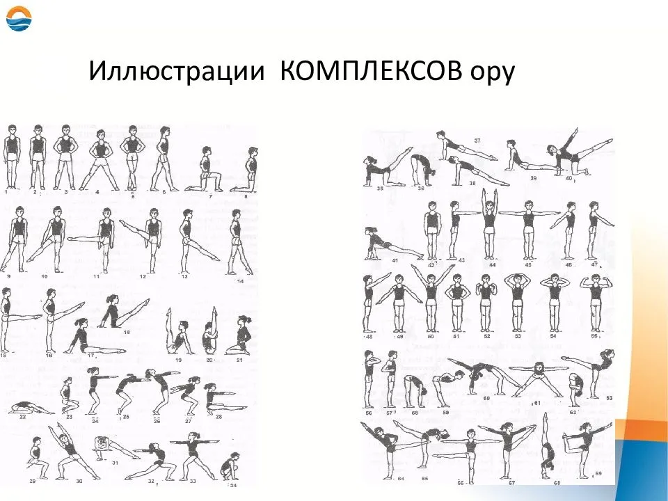 Общие развивающие упражнения по физкультуре с картинками