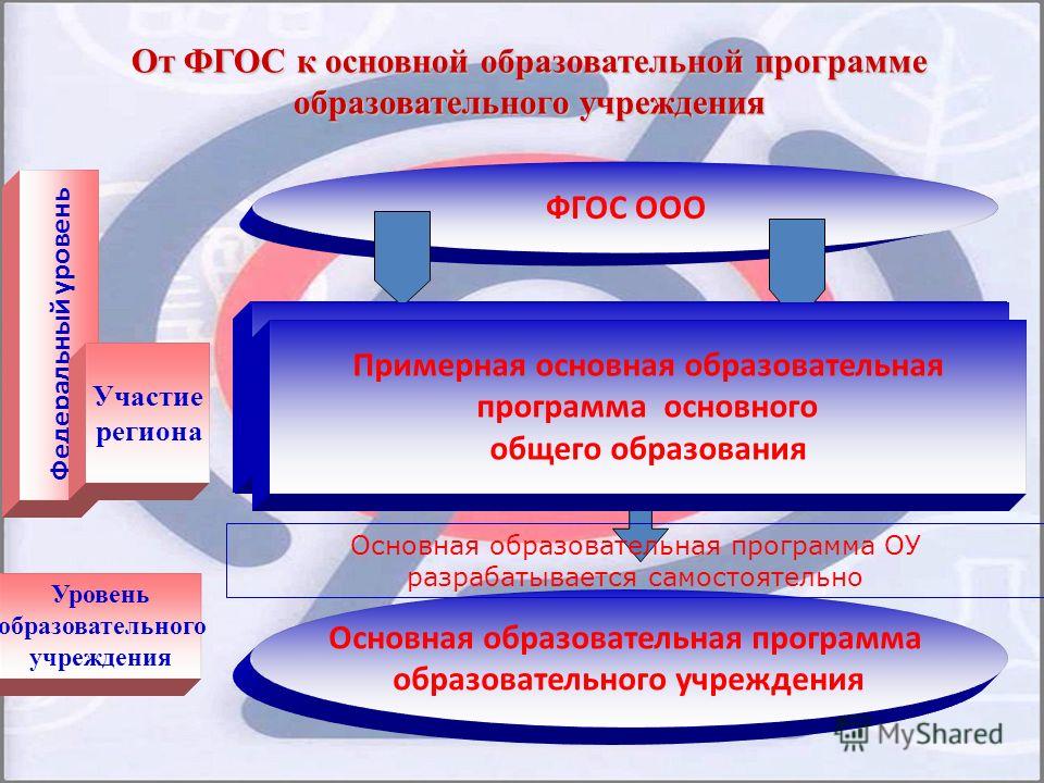 Общую программу. Образовательная программа. Общая образовательная программа. Программа основного образования. ФГОС Главная.