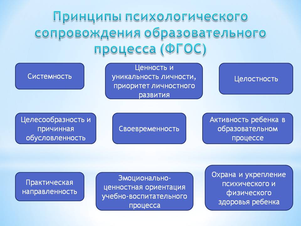 Карта индивидуальной профилактической работы и психолого педагогического сопровождения