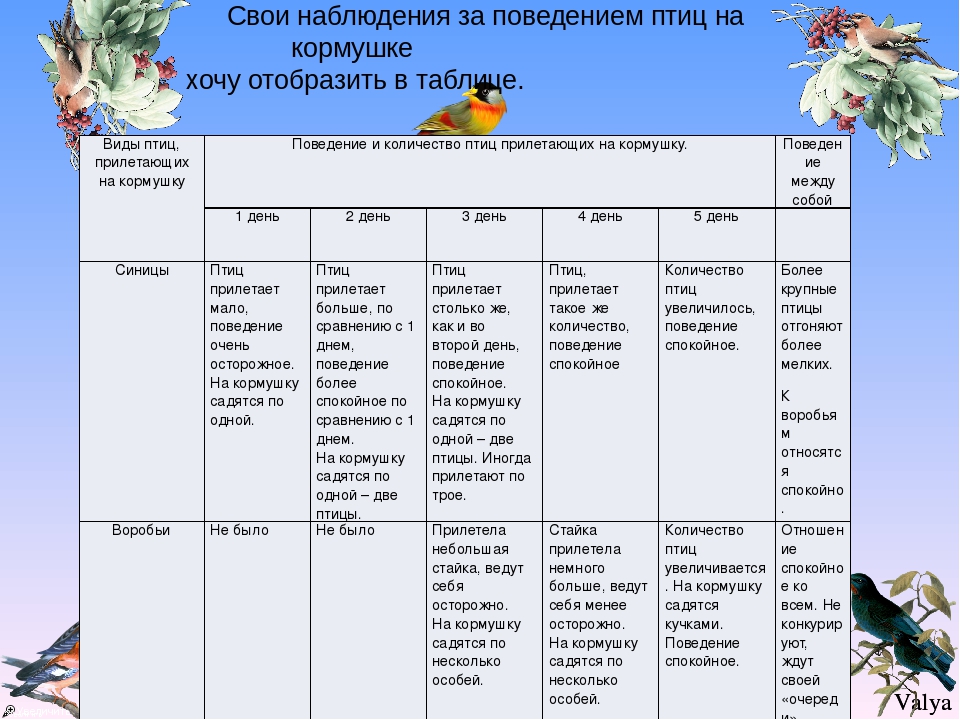 Наблюдение сколько. Таблица наблюдений за птицами. План наблюдения за птицами. Дневник наблюдения за птицами. Таблица наблюдений за зимующими птицами.