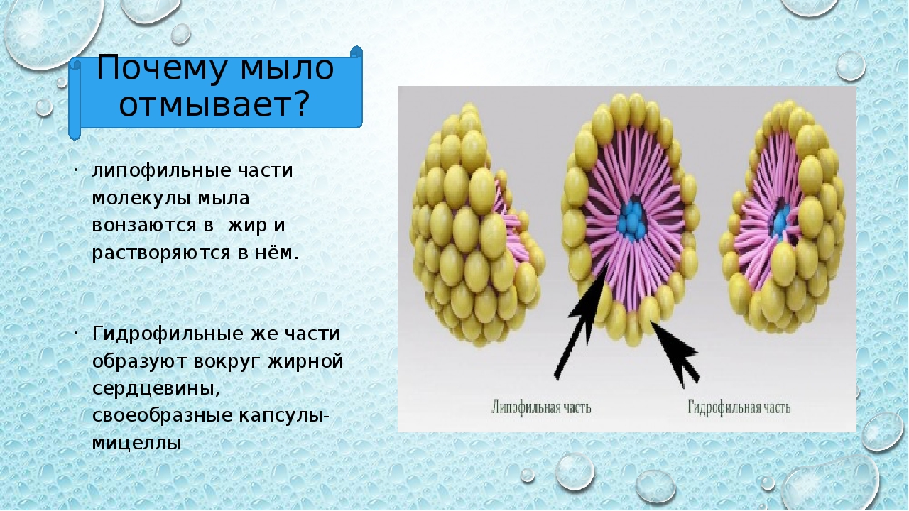 Почему моет. Почему мыло моет. Строение молекулы мыла. Мыло структура. Части в молекулах мыла.