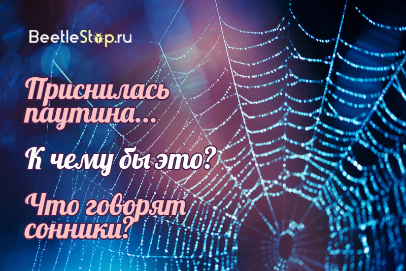 Паутина во сне. К чему снится паутина. Паутина во сне для женщины. К чему снится паутина женщине. Паутина во сне к чему снится мужчине.