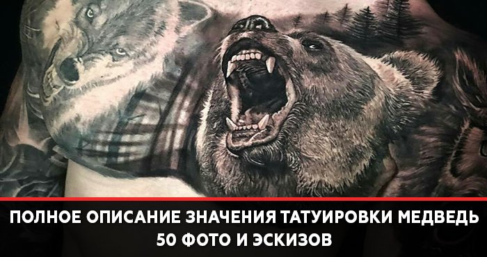 Что означает медведь. Тату волк и медведь на груди. Тату медведь на зоне. Тату медведь в бою. Тату волк против медведя.