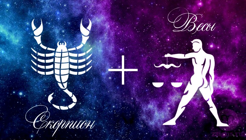 Скорпион и рак девушка совместимость. Скорпион знак зодиака мужчина. Скорпион знак зодиака женщина. Весы и Скорпион. Знак зодиака весы и Скорпион.