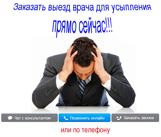Усыпление на дому вызов. Усыпление на дому вызов