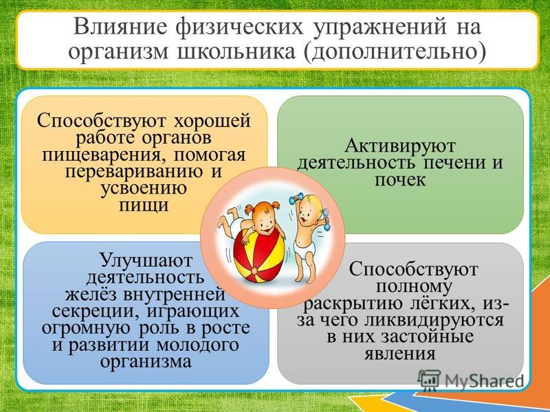 Влияние физических упражнений на здоровье человека проект 9 класс