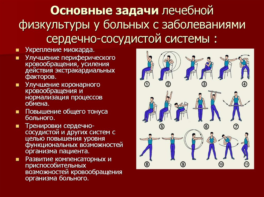 Физическая культура в профилактике сердечно сосудистых заболеваний проект