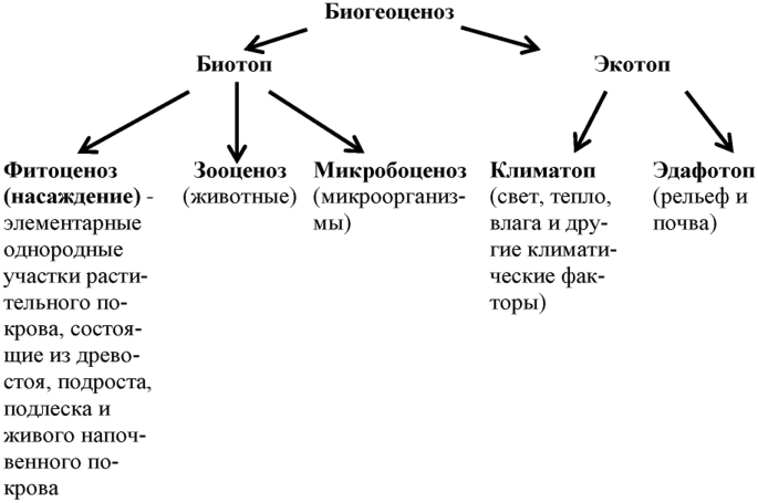 Схема связей лесной промышленности. Схема биогеоценоза. Структуры биогеоценоза кратко. Схема БГЦ. Схема естественный и искусственный биогеоценоз.