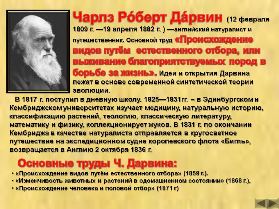 Эволюционная теория чарльза дарвина презентация