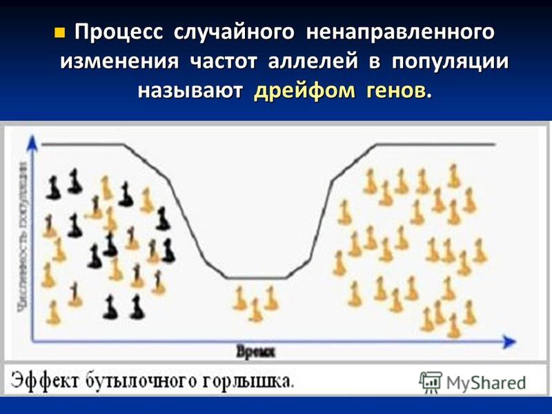 Фактор вызывающий изменения. Дрейф генов фактор эволюции. Изменение частоты аллелей в популяции. Случайные изменения частот аллелей в популяциях. Дрейф генов. Дрейф генов в популяции.