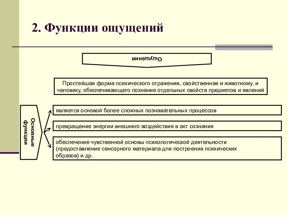 Объекты ощущений. Функции ощущений в психологии. Функции процесса ощущения в психологии. Основные функции ощущений в психологии. Функции ощущений в психологии таблица.