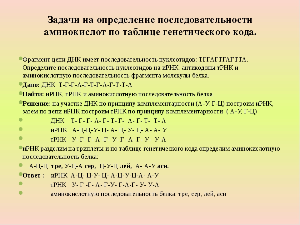 Цепь аминокислот в определенной последовательности. Задачи на последовательность аминокислот. Задачи на последовательность аминокислот в белке. Решение задач на аминокислоты. Определить аминокислотную последовательность.