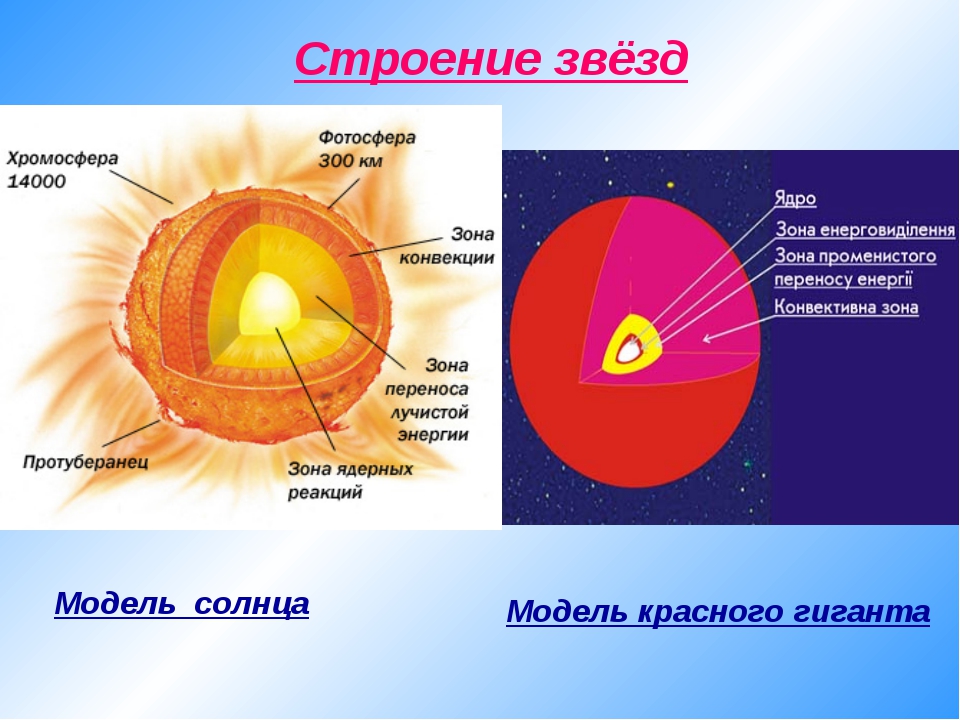 Тип солнца. Модель полностью конвективной звезды элементы структуры. Строение красного гиганта схема. Строение звезд. Внутреннее строение звезд.