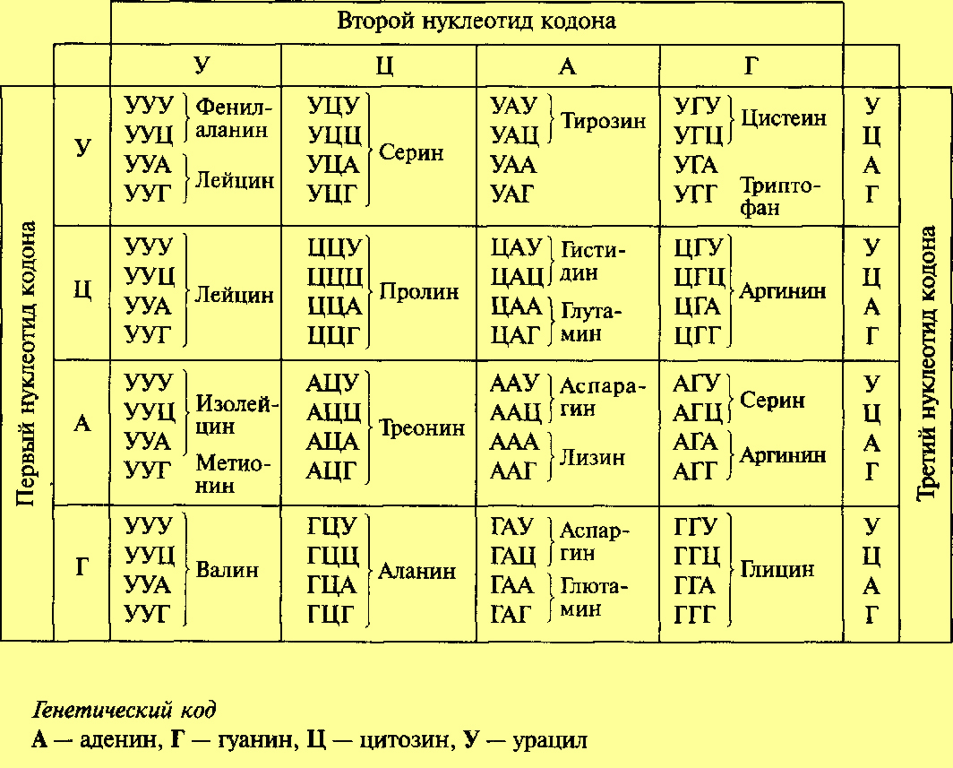 Генетический код картинка
