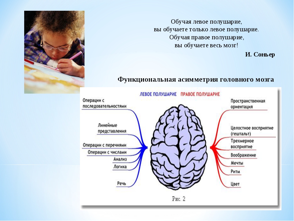 Расширенное полушарие. Развитые полушария мозга. Головной мозг левое и правое полушарие. Функции левого полушария головного мозга. Полушария мозга для детей.