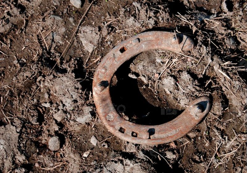 Найдена подкова в воде. Старинные металлические подковы. Найдена подкова в воде. Подкова на земле. Подковы находки.
