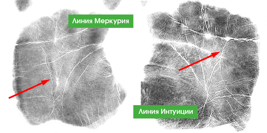 Линия Меркурия На Руке Фото