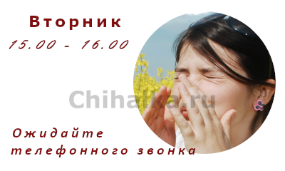 Чихалка кругозяка. Чихнуть во вторник. Чихнуть во вторник примета. Чихалка пятница 15-16. Чихнуть примета по времени