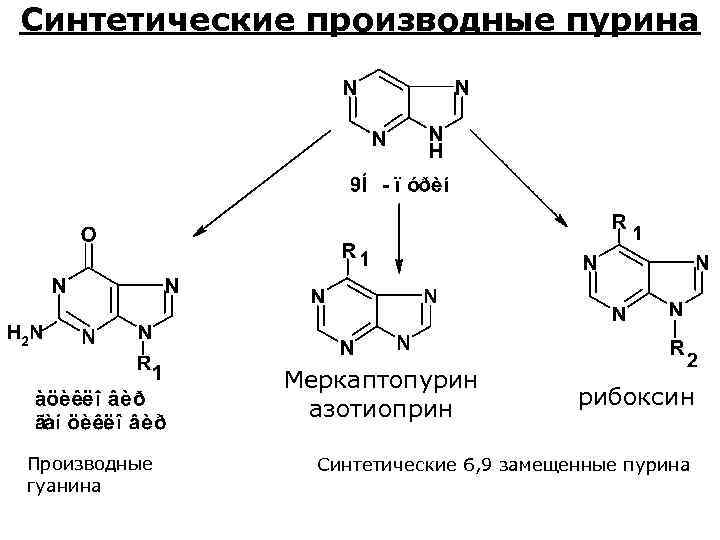 Производные пурина подлинность