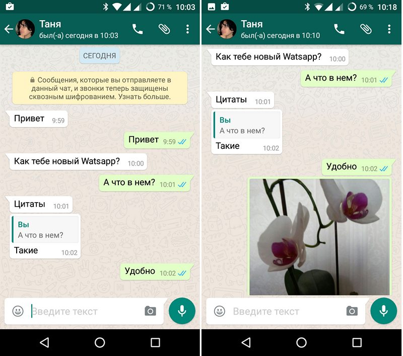 Софии пришло сообщение что ее телефон. Сообщение в ватсапе. Сообщение WHATSAPP. Чат ватсап. Сообщение в вацапе.