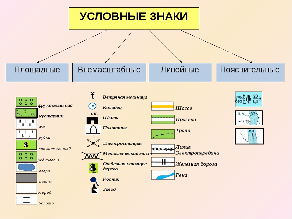 Что не относится к схемам