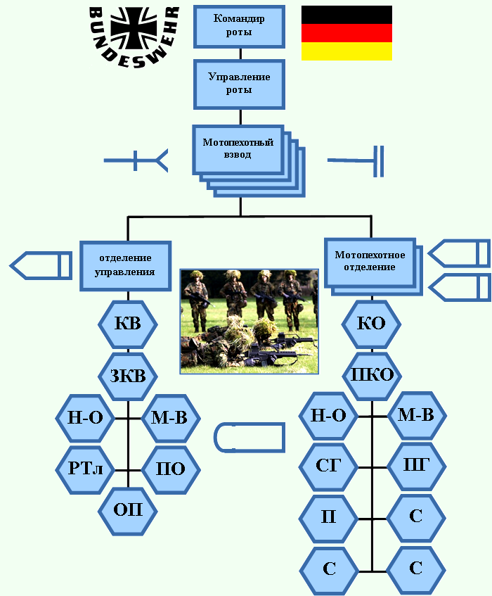 Командир взвода танковой роты. Организационно-штатная структура мотопехотного батальона армии ФРГ. Организация мотопехотной роты армии США. Организация мотопехотного взвода армии США. ОШС танкового батальона ФРГ.