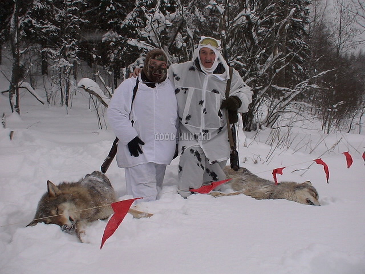 Wolf hunters. Загонная охота на волка.