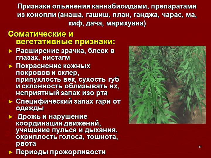 Марихуана симптомы курения мир семян тернополь