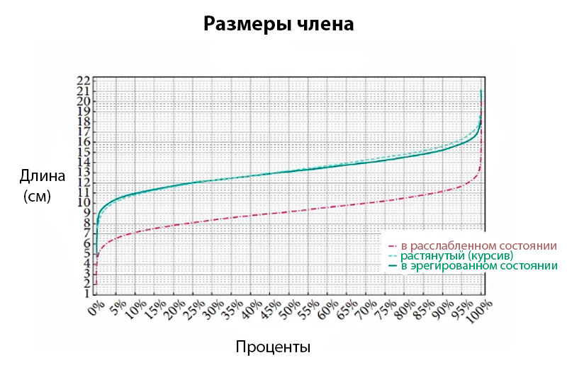 Длина Члена Турков