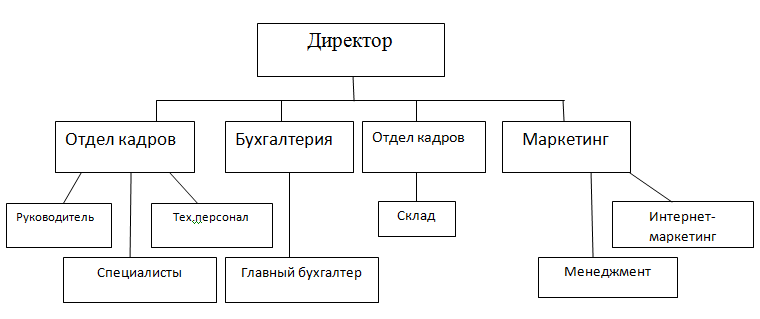 Организационная структура схема пример