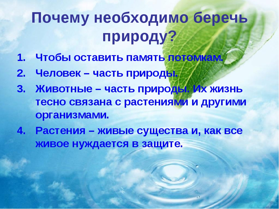 Сочинение «Почему необходимо беречь природу?»