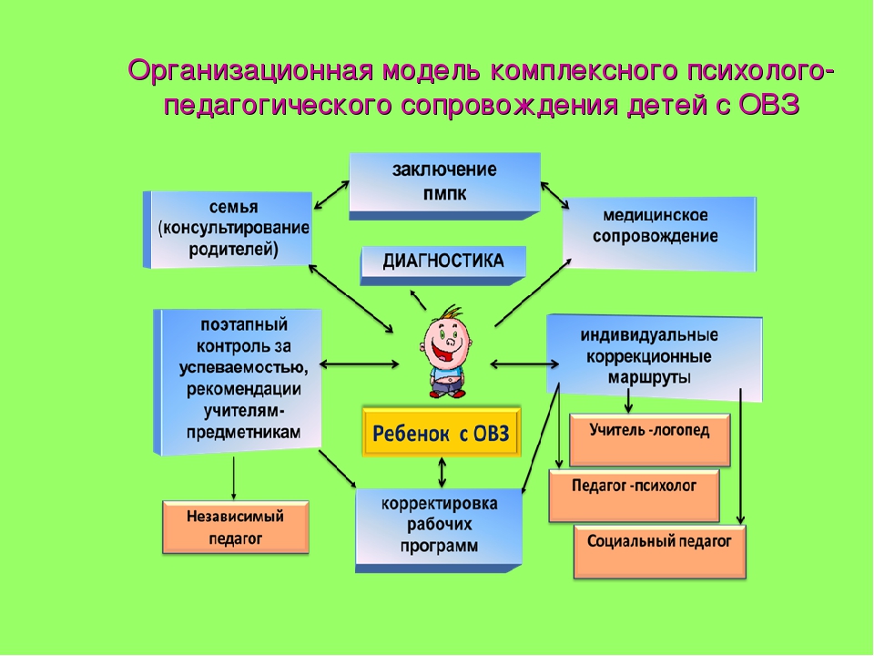 Психолого педагогическое сопровождение детей с зпр в процессе инклюзивного образования презентация