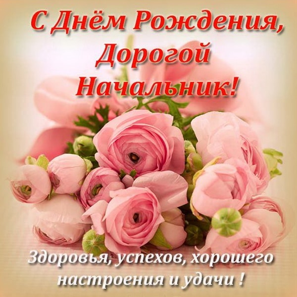 Поздравления с днем рождения начальнику женщине: пожелания