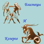 Познакомилась с козерогом. Типичный Козерог. Козерог характеристика. Крыса Близнецы мужчина. Козерог и Козерог совместимость.