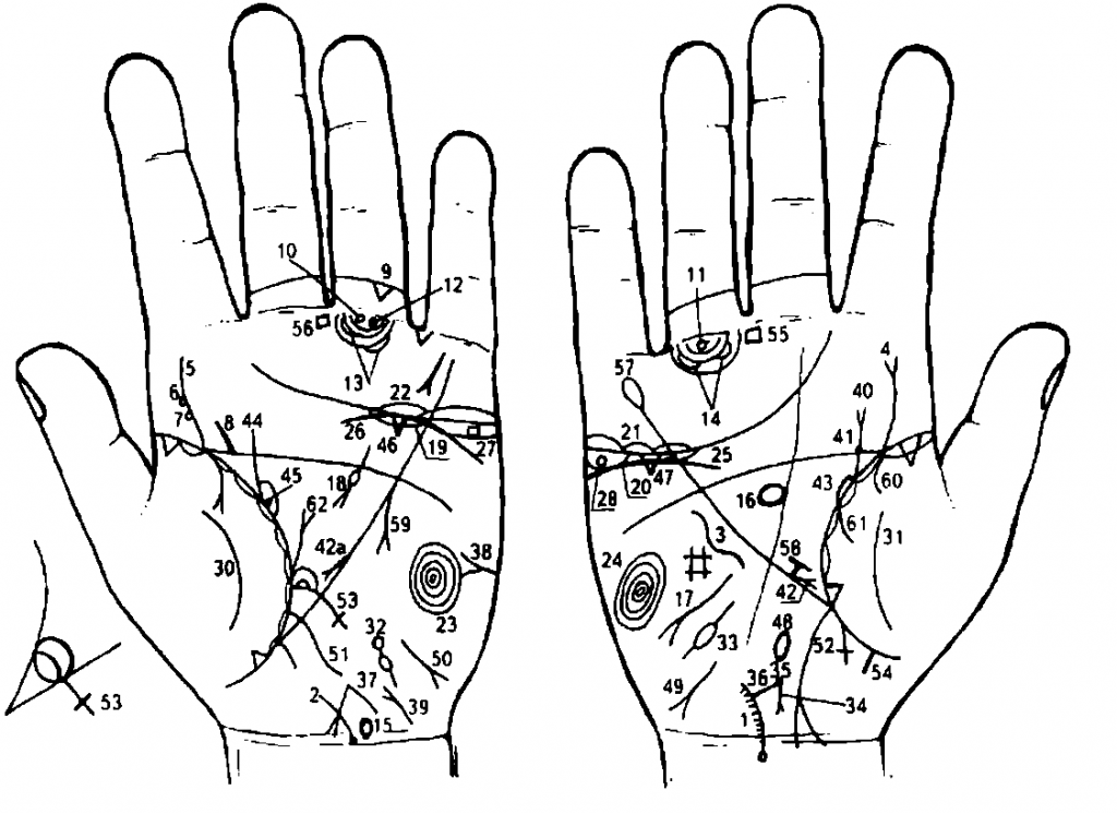 Хиромантия. Линии на ладони. Хиромантия линии на руке. Схема линий для хиромантии.