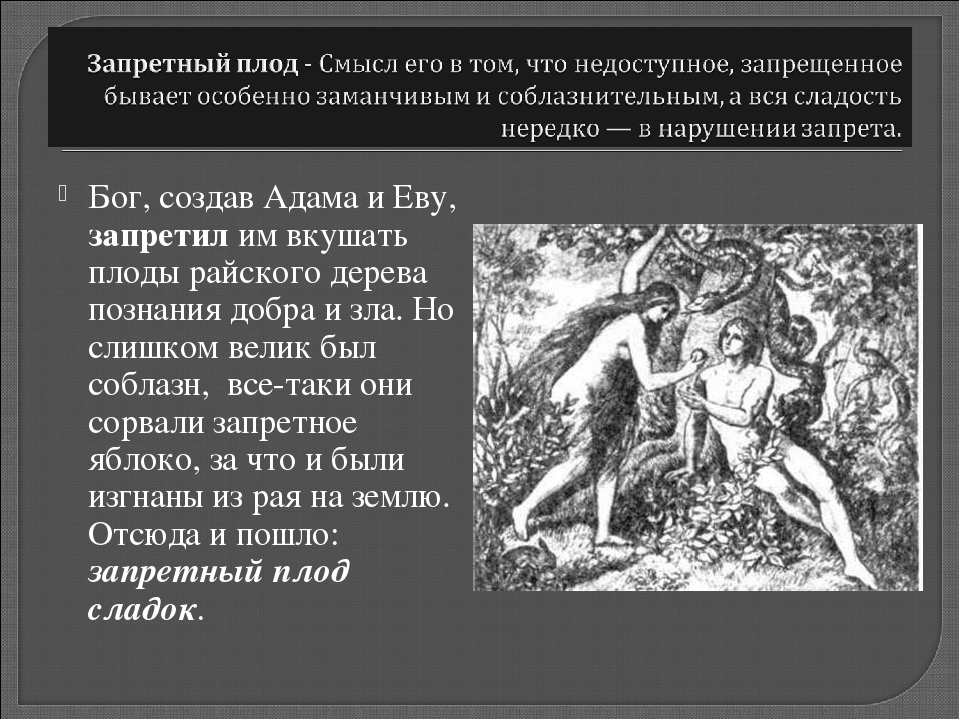 Про запрещенное. Стих Запретный плод сладок. Запретный плод пословица. Запретный плод фразеологизм из Библии. Пословица Запретный плод сладок.