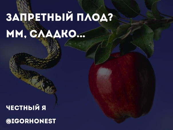 Сладкий плод ученья смысл. Чужой плод сладок.