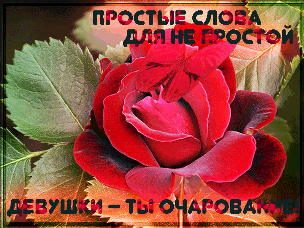 Комплимент красивой девушке коротко. Открытки с комплиментами женщине. комплименты женщине. красивые комплименты девушке. комплименты девушке картинки.
