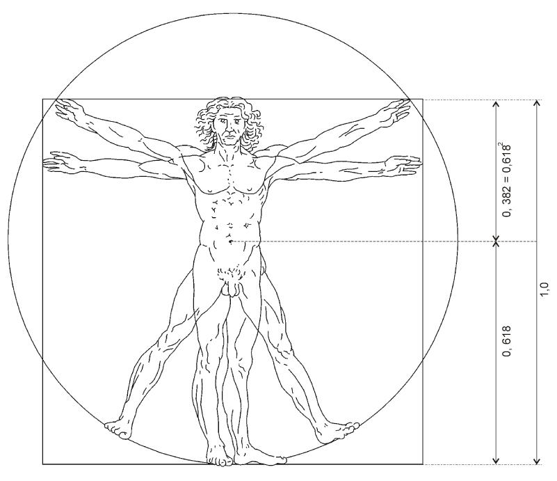 Леонардо да винчи сечение человека. Vitruvian man Леонардо да Винчи. Золотое сечение Леонардо Давинчи. Витрувианский человек золотое сечение. Человек в круге Леонардо да Винчи золотое сечение.